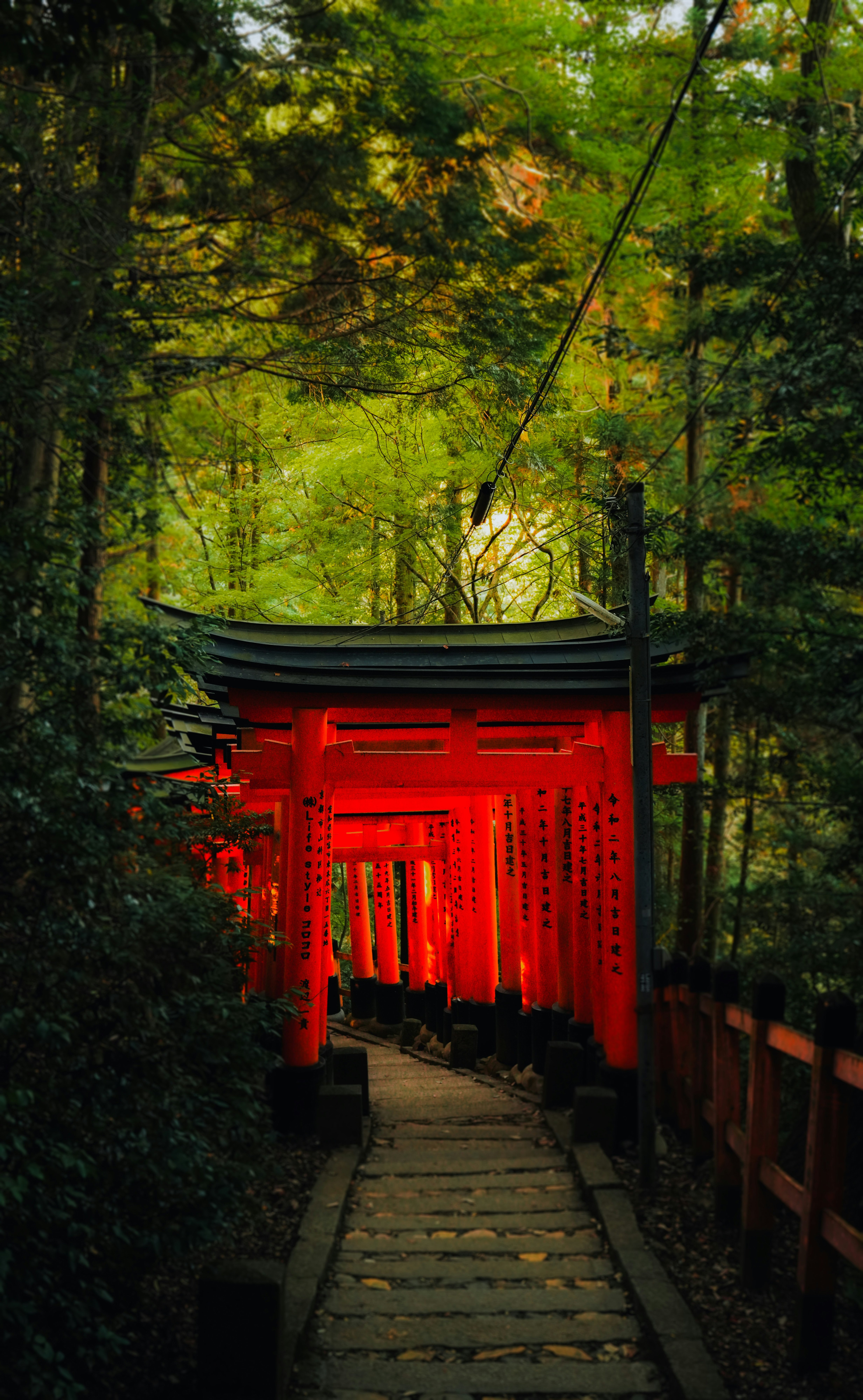 A path through the red torii gates of Fushimi Inari Shrine